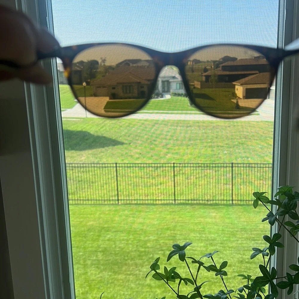 Ray-Ban Wayfarer Classic Sunglasses